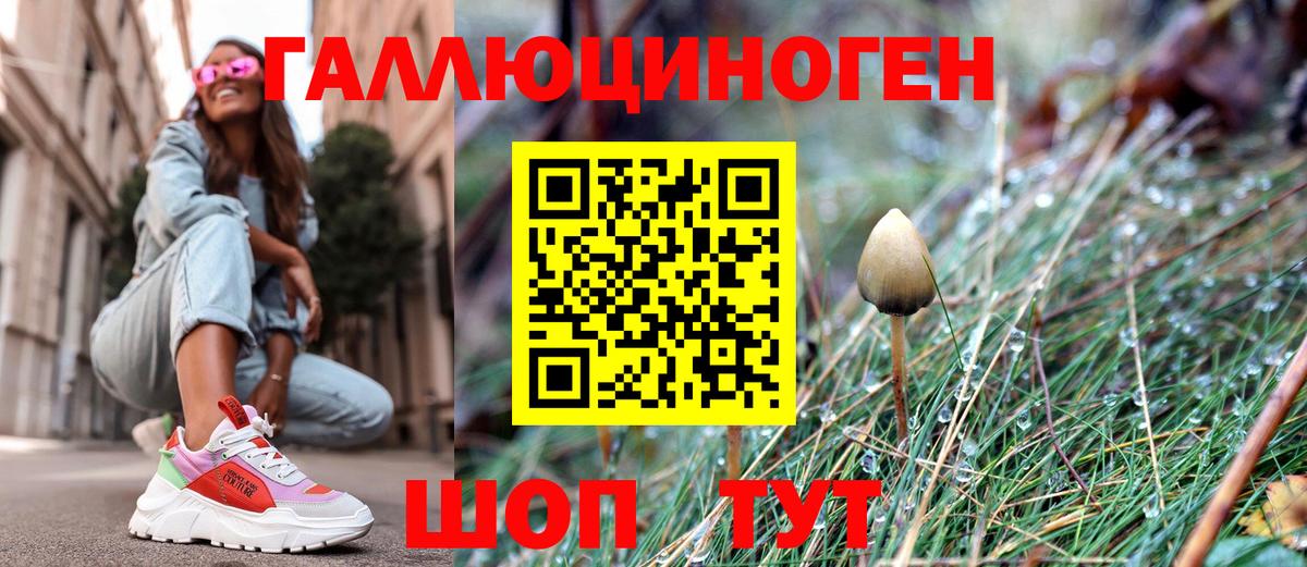 Псилоцибиновые грибы Psilocybine cubensis Кыштым