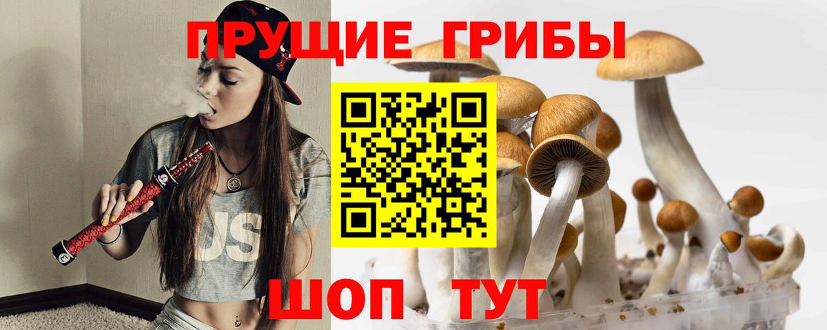 Псилоцибиновые грибы Cubensis  закладки  Кыштым  Вход с VPN  Галлюциногенные грибы мухоморы 
