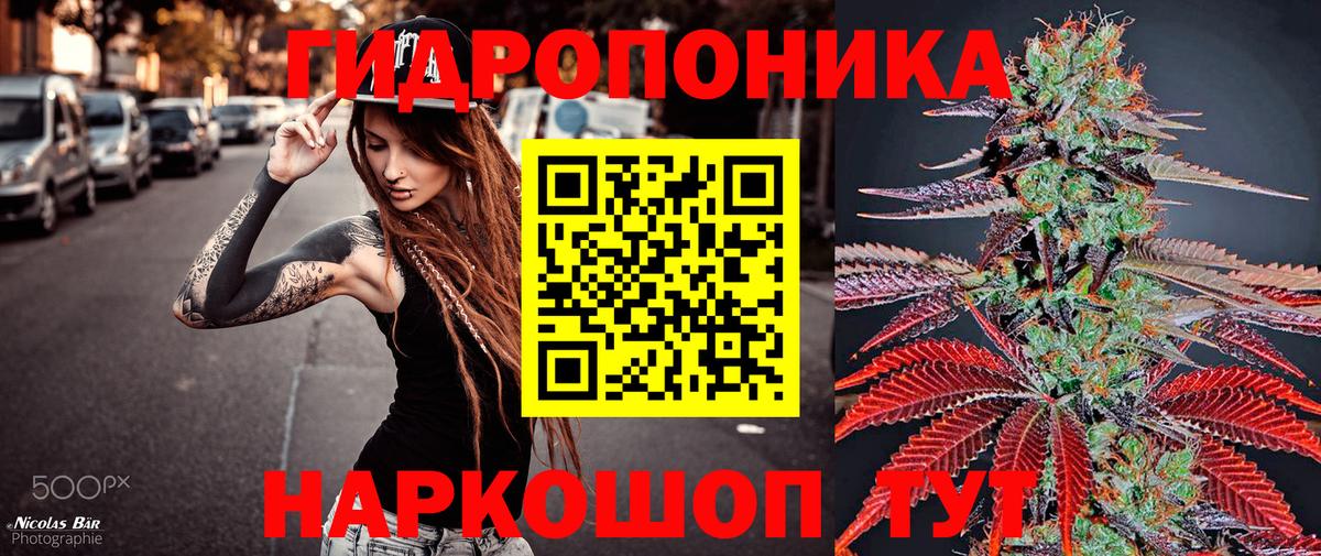 Конопля план  МАРИХУАНА White Widow  Вход с VPN  Кыштым  Конопля сатива  Бошки марихуана тримм 